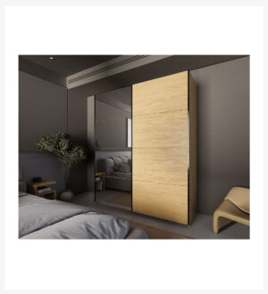 Dulap cu 2 usi culisante stejar